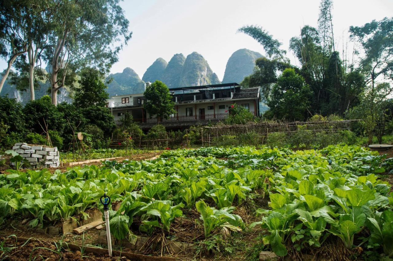 Nirvana Organic Farm Inn Yangshuo Buitenkant foto