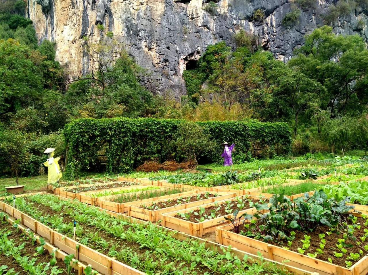 Nirvana Organic Farm Inn Yangshuo Buitenkant foto